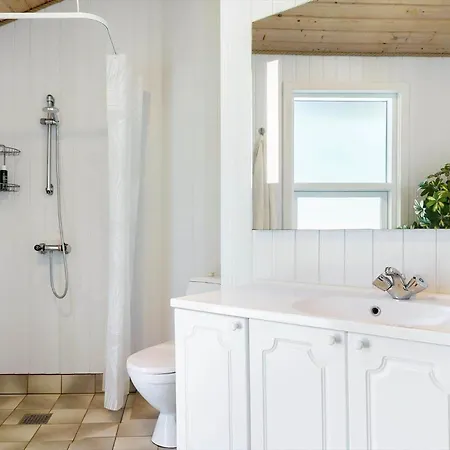 209-vestervig-isfuglevej-15 *